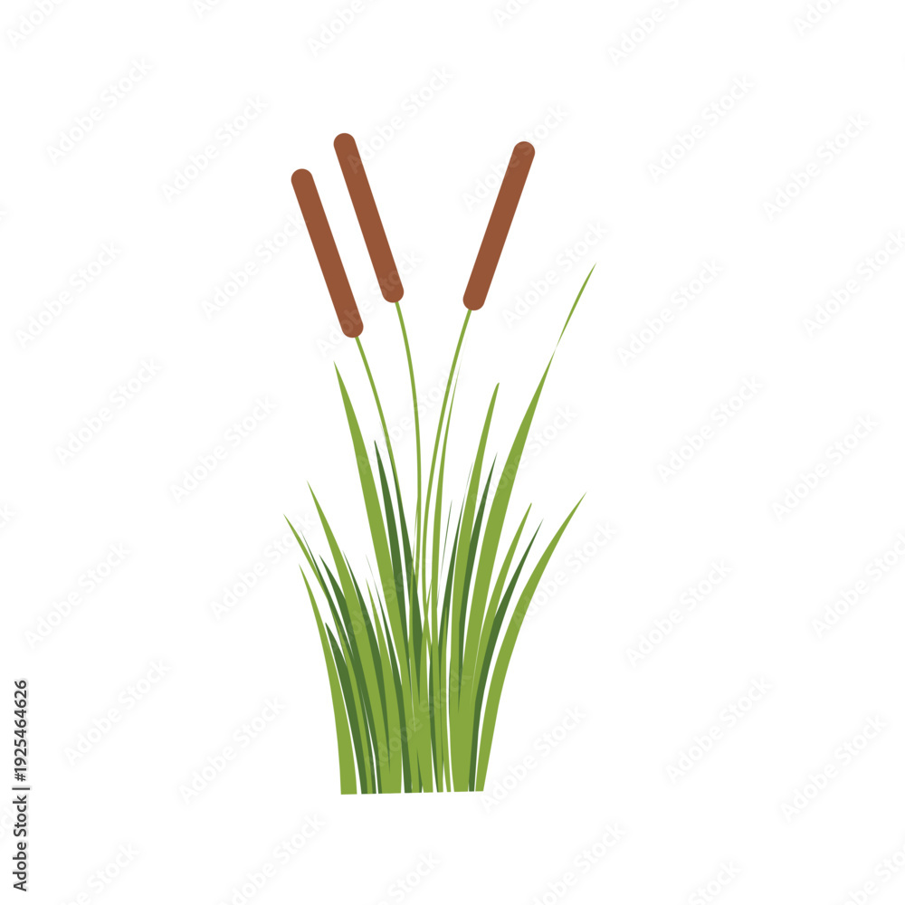 Foto Vector cattail plant with green grass