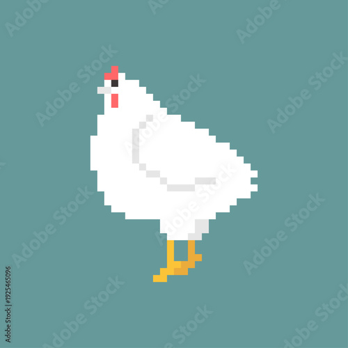 Pixel art white hen on a teal background square. Retro 8-bit game style farm animal icon. Simple flat vector of a chicken isolated on white.