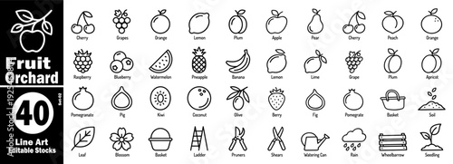 Fruit orchard line icons collection for gardening and harvest design vector illustration.