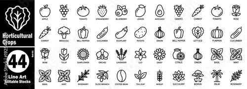 Horticultural crops line art icons. Collection of agricultural concepts vector illustration.