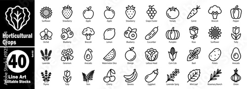Horticultural crops line art icons set. Farming and garden design vector illustration.