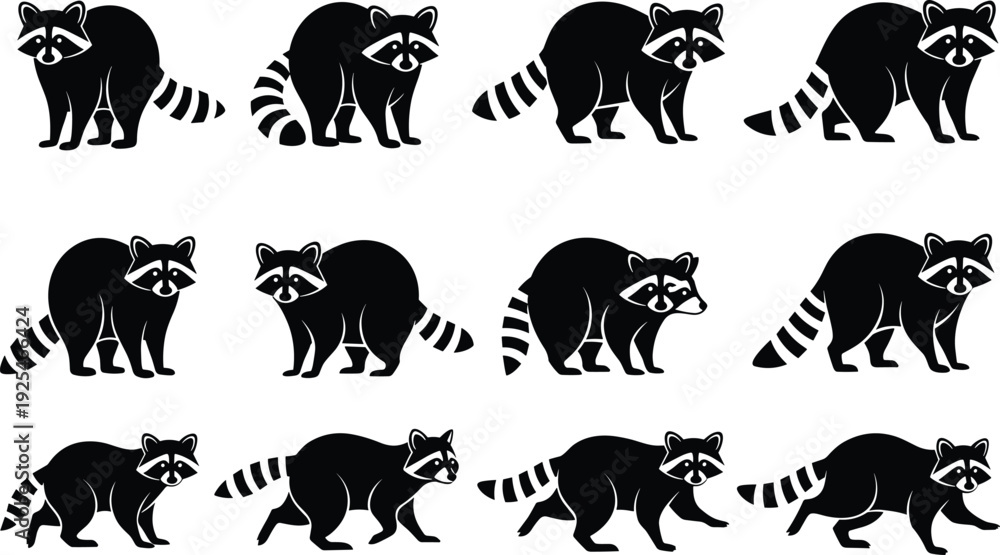 Fototapeta premium Raccoon silhouettes collection, cute wild animal poses, black woodland mammal icons set for logo, mascot, vector design