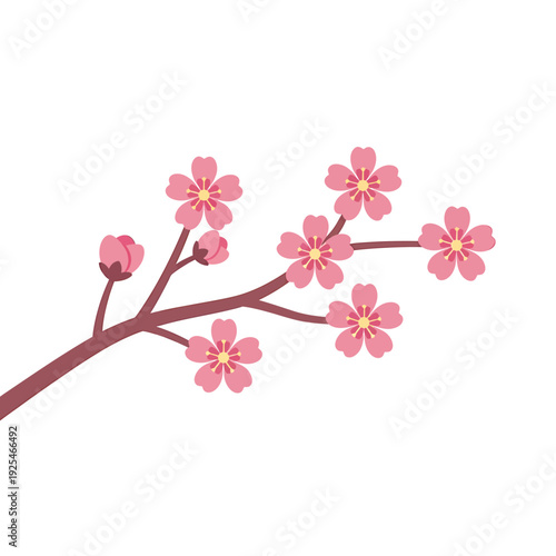 Beautiful Pink Cherry Blossom Branch with Buds. Vector Illustrations. EPS Editable