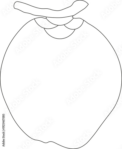 green coconout outline
