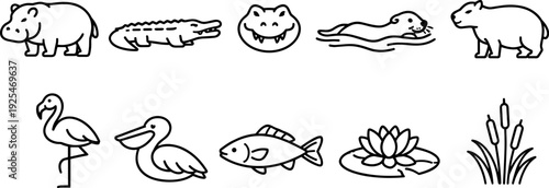 Collection of simple line art icons representing various aquatic animals and plants