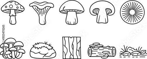 Collection of hand-drawn mushroom icons and forest elements in a simple line art style