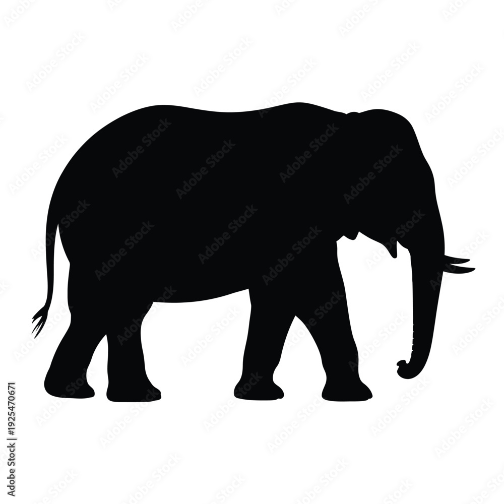 Fototapeta premium A striking silhouette of an african elephant standing in profile view