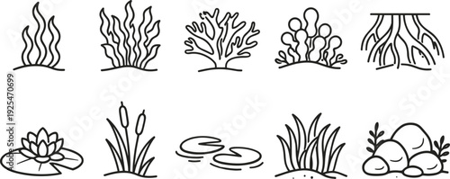 Collection of simple line art icons representing aquatic plants and elements