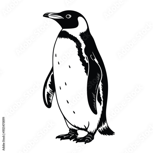 Elegant penguin illustration in black and white standing in profile view