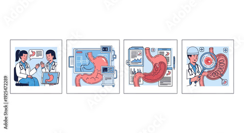 Medical Illustrations of the Human Stomach and Digestive System.