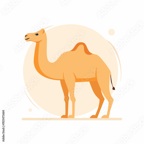 Elegant dromedary camel with one hump standing in profile, a modern flat design vector illustration