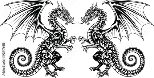 Two detailed fantasy dragons facing each other black and white vector illustration isolated on white background mythological creature design