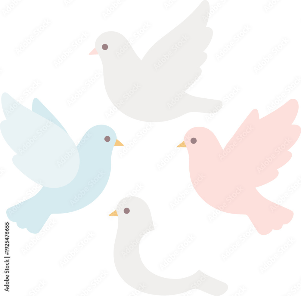 Fototapeta premium Four doves of different colors appear to be flying on a white backdrop