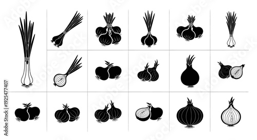 Collection of various onion and garlic illustrations in black on white background for cooking and recipe use