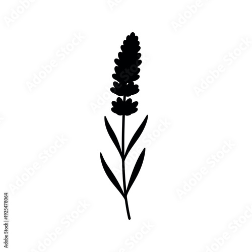 Simple black silhouette of a lavender flower.