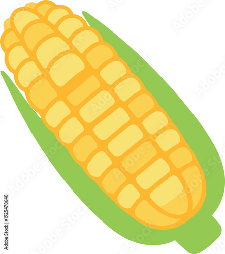 Simple vector illustration of an ear of corn on the cob