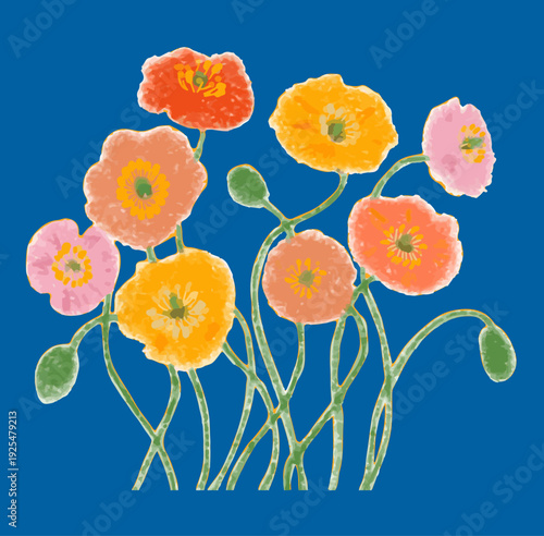 ポピーがたくさんのイラスト/Many Botanical Poppy Flower illustration