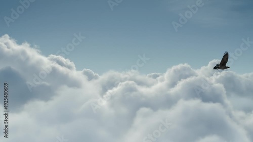 Silhouette of a Bird Flying Through Clouds Against a Blue Sky