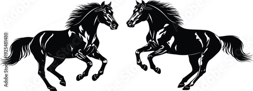 Two black rearing horses facing each other vector silhouette illustration isolated on white background dynamic equine logo design template artwork
