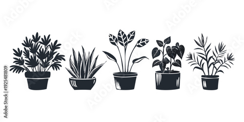 Group of various indoor plants in pots isolated on a white background .vector icon