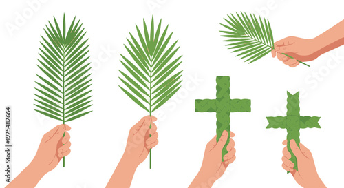 Hands Holding Various Palm Leaves and Woven Crosses for Palm Sunday Celebration a Religious Tradition