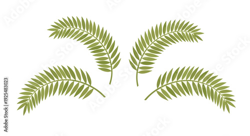 Green Palm Fronds Design for Religious Palm Sunday Celebration and Holy Week Spiritual Event