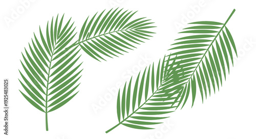 Stylized Green Tropical Palm Leaves Celebrating Palm Sunday Spiritual Tradition