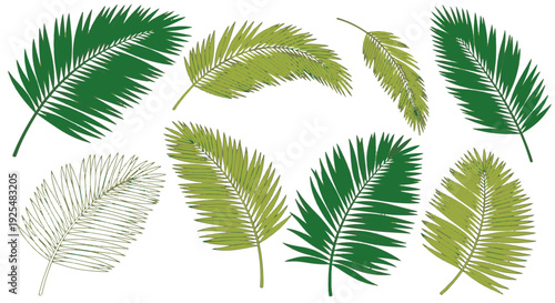 Green Palm Leaves Arranged for Religious Palm Sunday Celebration and Event Design