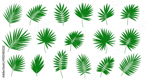 Palm Sunday Green Tropical Leaves Set for Christian Easter Holiday Celebration Designs