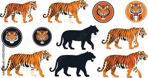 Tiger mascot and wild animal logo vector set with walking big cats silhouettes and roaring head emblems for sports branding design.