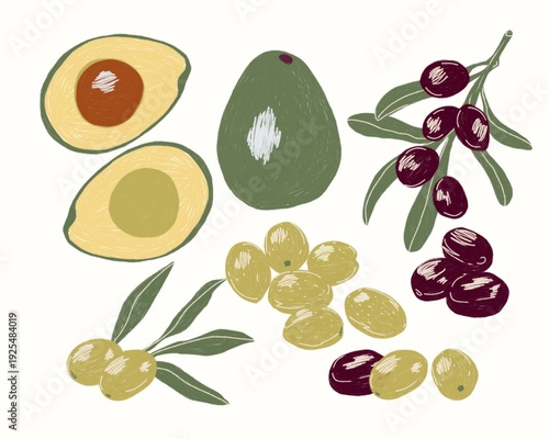 Hand Drawn Avocado and Olive Set in Modern Botanical Style, Mediterranean Food Illustration