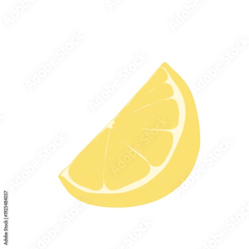 Hand Drawn Lemon Slice Illustration in Minimal Botanical Kitchen Style
