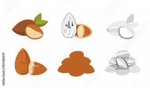Almond icon flat vector nut food symbol set