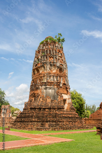 A temple tower in the historical park of Ayutthaya, Thailand. The prang stands on a lush green lawn, with a brick-paved path visible in the foreground. The background features a bright blue sky.