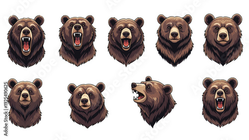 Collection of bear head illustrations showing various facial expressions like roaring, growling, and calm against a plain white background.