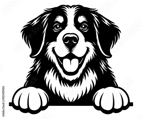 Bernese Mountain Dog Portrait Silhouette, Happy Puppy Peeking From Edge Graphic, Loyal Pet Canine Illustration, Domestic Animal Breed Design For Pet Lovers And Owners, Cute Dog Face