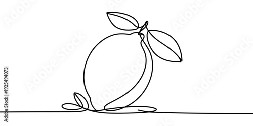 Minimalist one line drawing of a lemon with a leaf simple and elegant