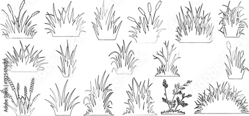 Plant elevation line silhouettes outline - grass, shrub, tree big set vector