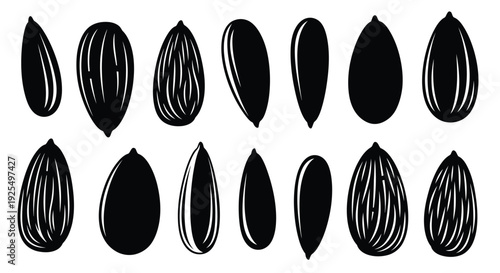 Detailed illustrations of almond nuts displayed in a striking black silhouette