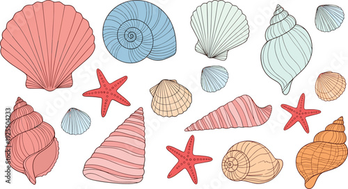 Pastel Seashell and Starfish Vector Set with Hand Drawn Ocean Shells and Coastal Marine Elements