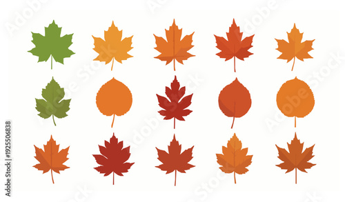 Photos Seasonal autumn leaf shapes and colors vector grid set