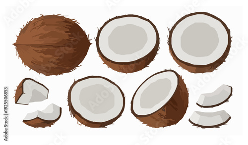 Coconut whole halves and wedges vector illustration set