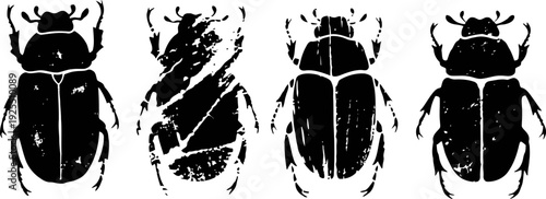 black beetle silhouette set insect vector collection four different bug shapes with distinct body parts and legs
