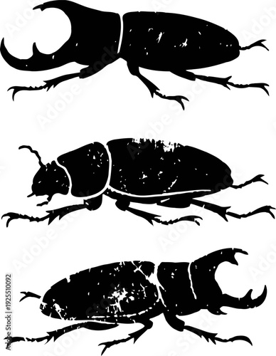 vintage stag beetles illustration set with clawed mandibles black silhouettes