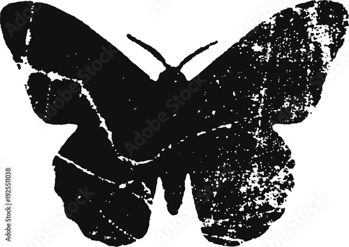 Grunge butterfly silhouette with distressed texture and worn vintage effect