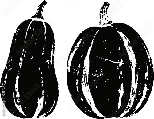 Black and white illustration of two pumpkins with stems, vintage hand drawn autumn vegetables