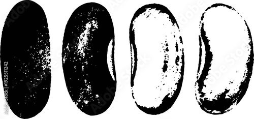 Set of four black and white coffee beans illustrations with textured and outlined styles