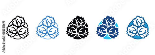 Salad Icon Set Multiple Style Of