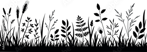 Wild Grass and Plant Silhouette Vector Collection Botanical Nature Elements