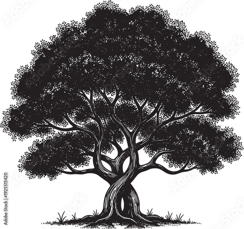 blackandwhite illustration of a large tree with sprawling branches